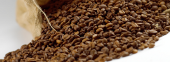 Our Coffee